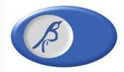Bird In Eye Surgery Logo